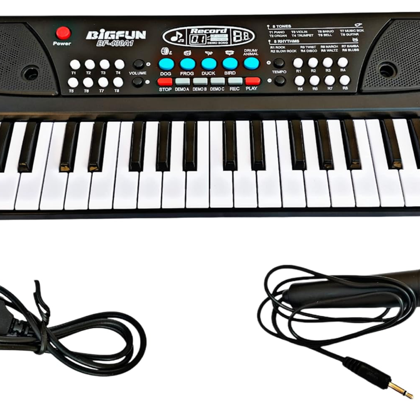 B Key Piano Keyboard Toy with Power Option, Recording and mic, Electronic Piano Keyboard(Black)