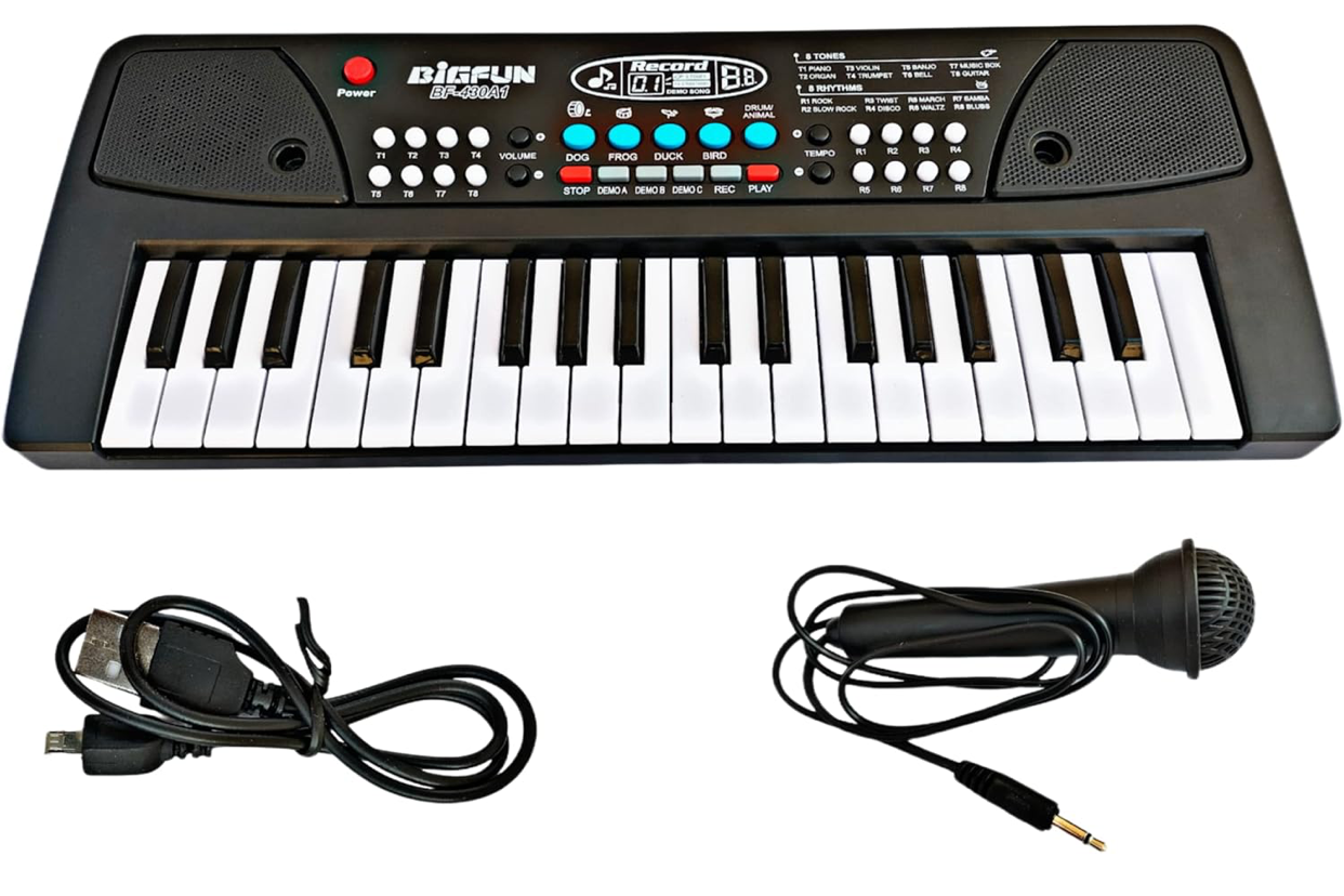 B Key Piano Keyboard Toy with Power Option, Recording and mic, Electronic Piano Keyboard(Black)