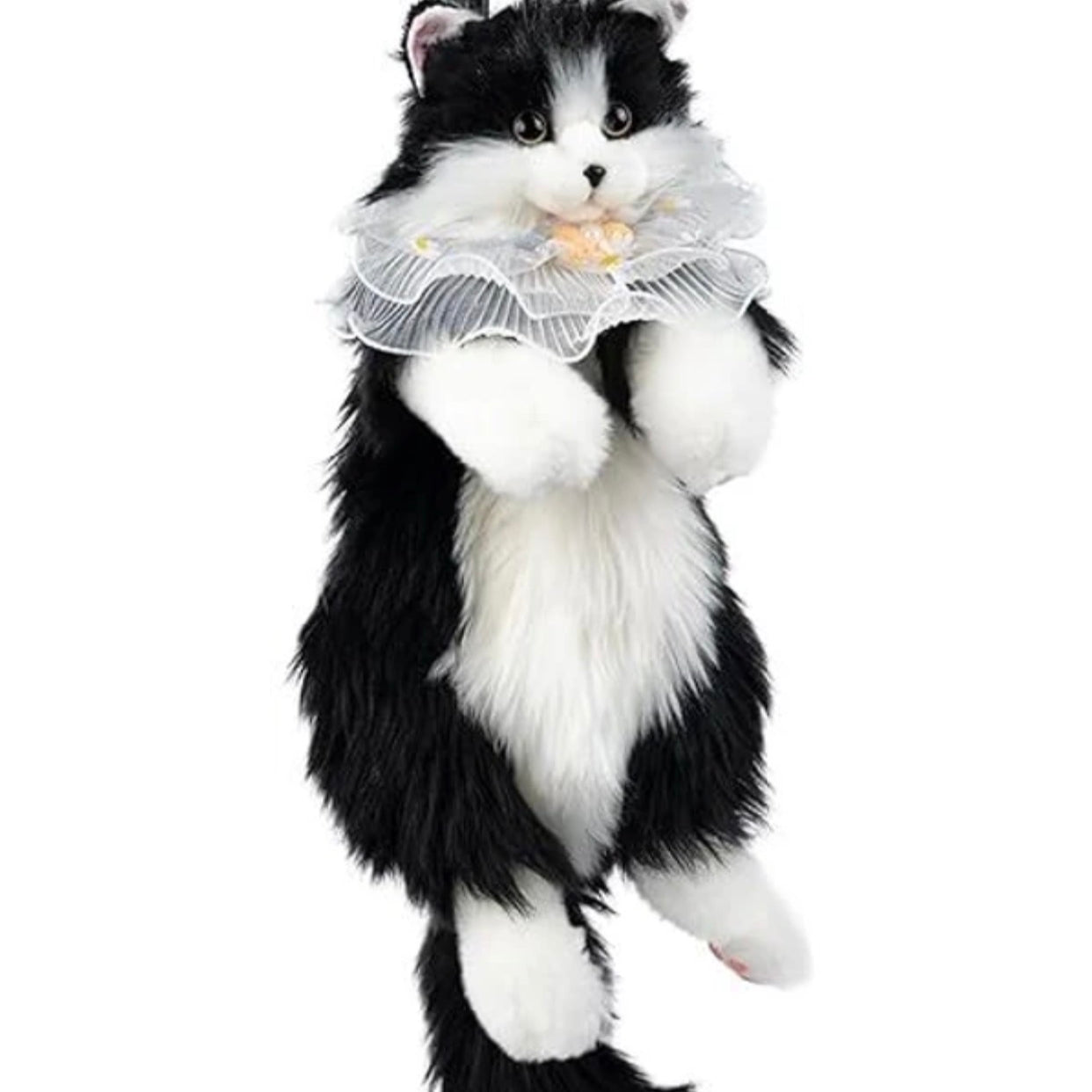 Realistic cute cat bag pack